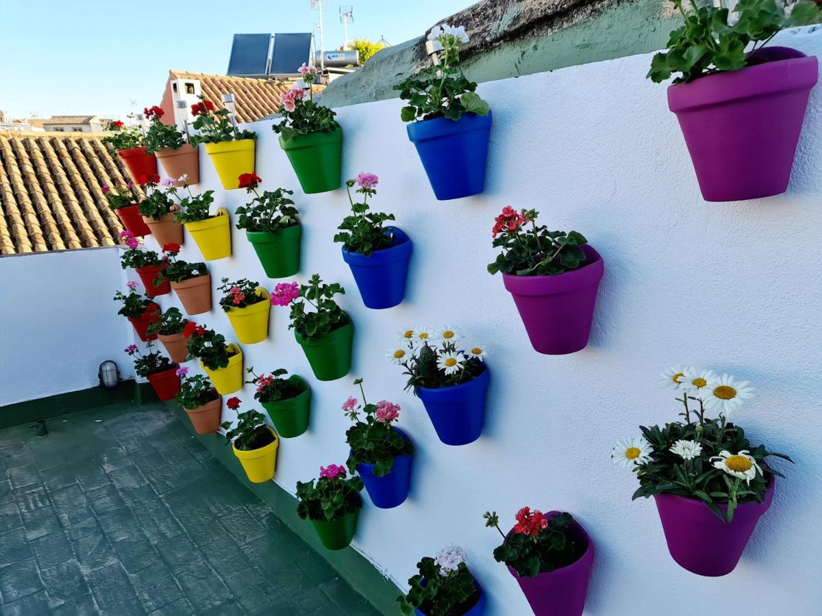 Hostal Funky By Arc House Córdoba Eksteriør billede